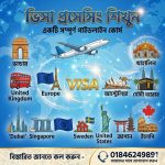 ভিসা প্রোসেসিং প্রফেশনাল কোর্স ২০২৬